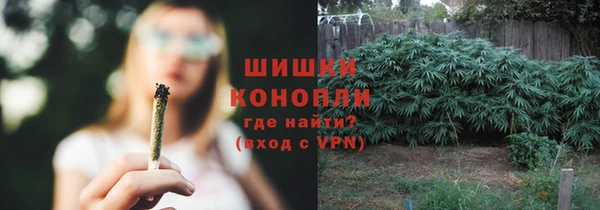 прущие грибы Кулебаки