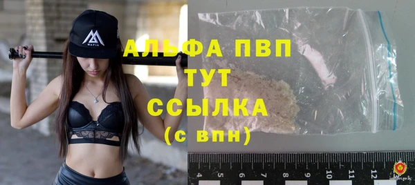 прущие грибы Кулебаки