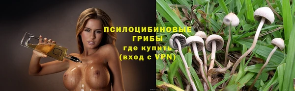 прущие грибы Кулебаки