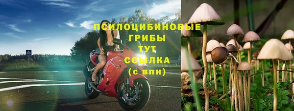 прущие грибы Кулебаки