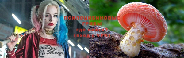 прущие грибы Кулебаки