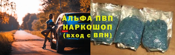 прущие грибы Кулебаки