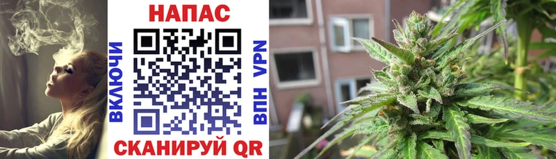 Купить закладки  Болхов  Каннабис тримм 